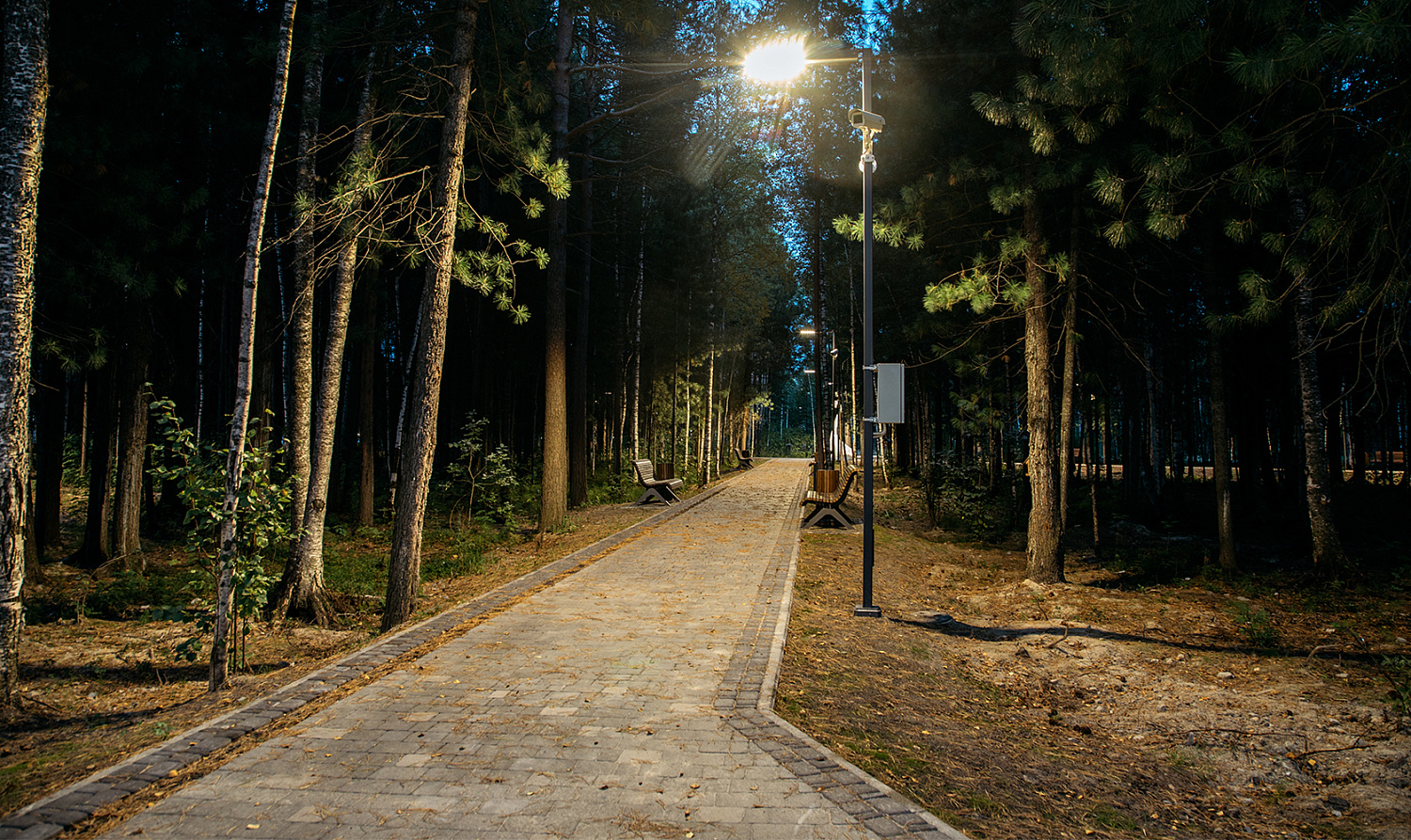 Крылов парк город Сургут
